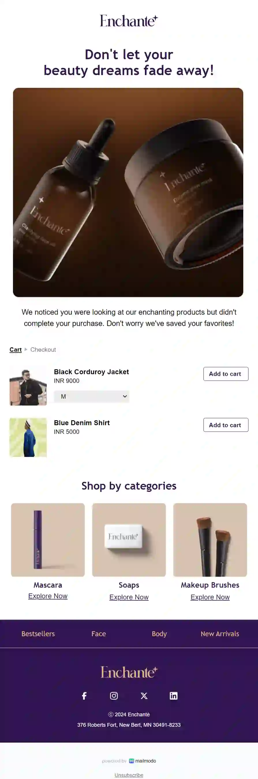 Free Browse Abandonment Email Template for Beauty Brands